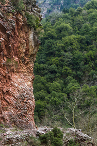 风景 环境 公园 旅游业 美丽的 岩石 悬崖 森林 自然