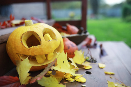 Autumn traditions and preparations for the holiday Halloween. A 