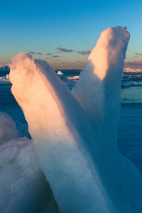 冰岛 美丽的 旅行 海岸 自然 美女 天气 冬天 冰山 旅游业