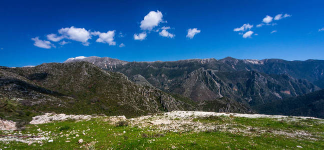 目的地 风景 森林 公园 国家的 旅行 美丽的 日落 天空