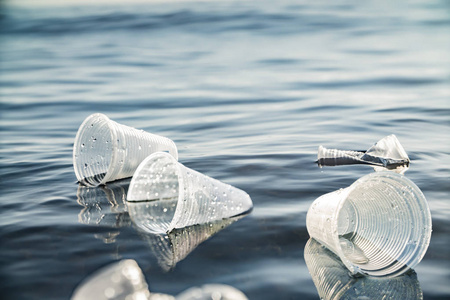 污染 塑料 环境 浮动 危险 损害 自然 瓶子 生态学 回收