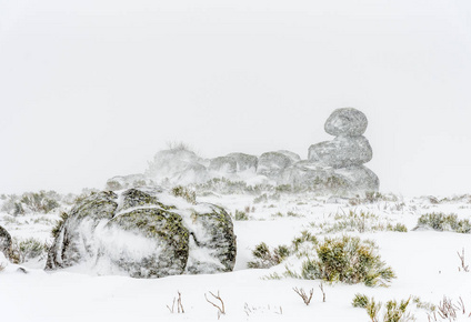 暴风雪图片