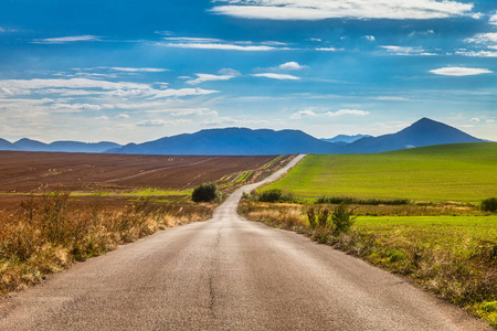 夏日路图片-夏日路素材-夏日路插画-摄图新视界