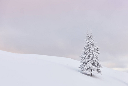 天空 风景 仙境 白霜 木材 庆祝 美丽的 暴风雪 假日