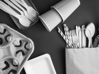 环保型木制和纸质餐具，可生物降解，一次性厨房用具，由天然材料制成。环保无塑料概念。单色