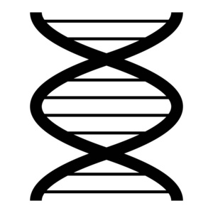 偶像 螺旋线 研究 技术 生活 代码 生物学 染色体 科学