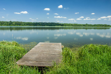 湖边芦苇图片
