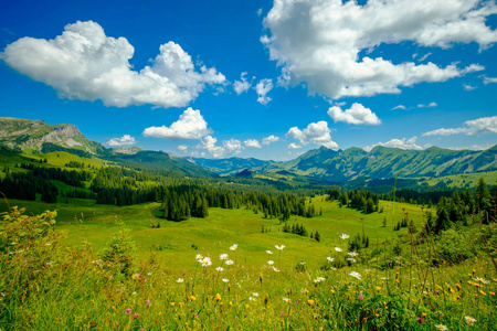 瑞士夏季山地全景