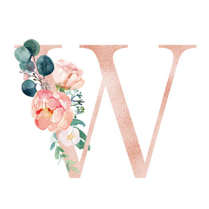花字母腮红桃红色字母w,带花束照片