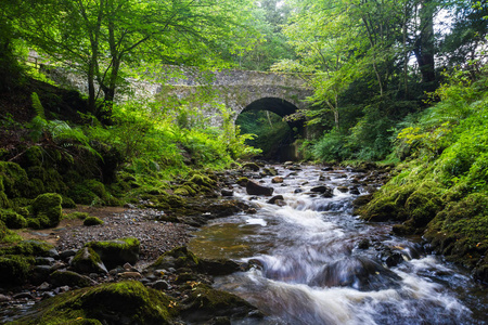 Banvie Burn in the Scottish Highlands 