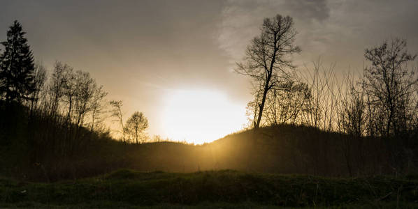 公园 木材 天空 落下 森林 太阳 自然 日落 日出 早晨