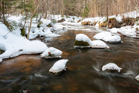 寒冷的 冬天 自然 森林 旅行 场景 流动 小溪 天空 季节