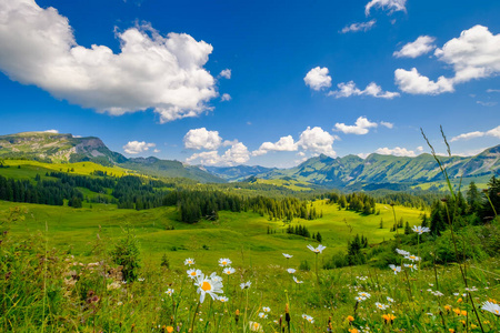 瑞士夏季山地全景