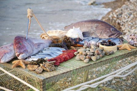 On the table are seafood big fish, smaller fish, lobsters, muss