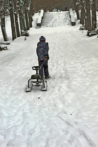 冬天 雪橇 公园