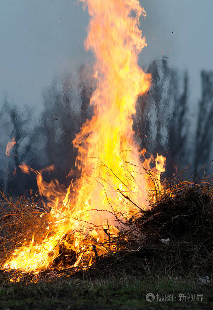 野火 破坏 自然 木材 夏天 篝火 灾难 丛林大火 火焰