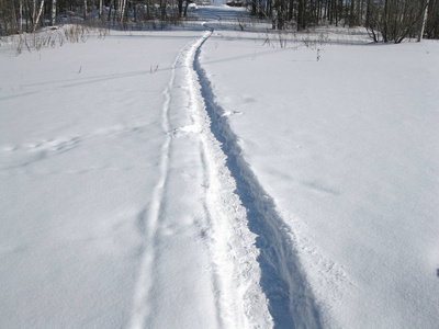 冬林雪道