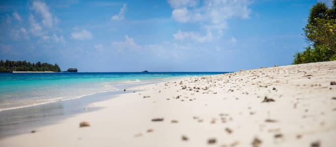 海洋 海滩 风景 棕榈 假期 奢侈 马尔代夫 加勒比 旅游业
