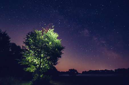 银河系在美丽的夜空中，银河系和树木