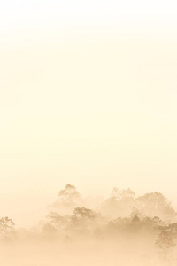 小山 植物 环境 太阳 天空 热的 阳光 场景 薄雾 季节