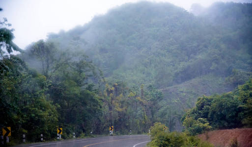 追踪 步行 天空 环境 风景 小山 地平线 森林 木材 场景