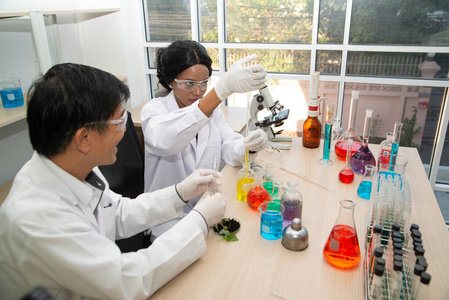 Two scientists are working in laboratory. Young female researche