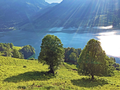 风景 登山 小山 反射 假期 攀登 夏天 草地 全景 冒险