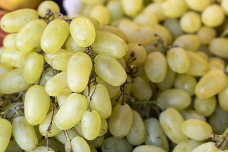 许多白葡萄的浆果。多汁白葡萄