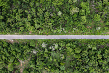 热带雨林中笔直的柏油路风光图片