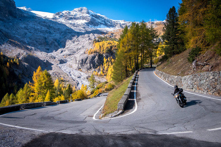 白云石山脉，秋天的风景在帕索斯泰尔维奥山谷南蒂罗尔的斯泰尔维奥国家公园，阿尔卑斯山，意大利北部，欧洲。有自行车的山路