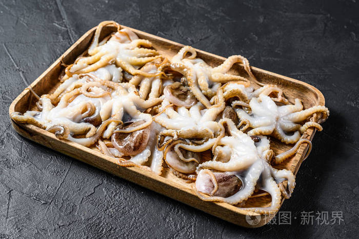 黑底生章鱼宝宝有机海鲜俯视图