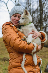棕色的哈士奇图片