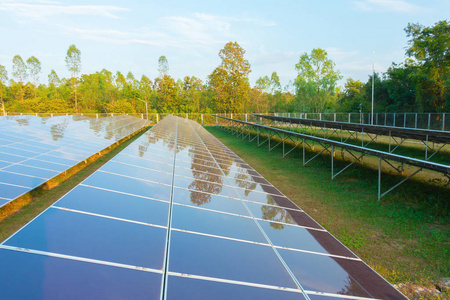 农场屋顶上的太阳能电池板或太阳能电池。电厂机智