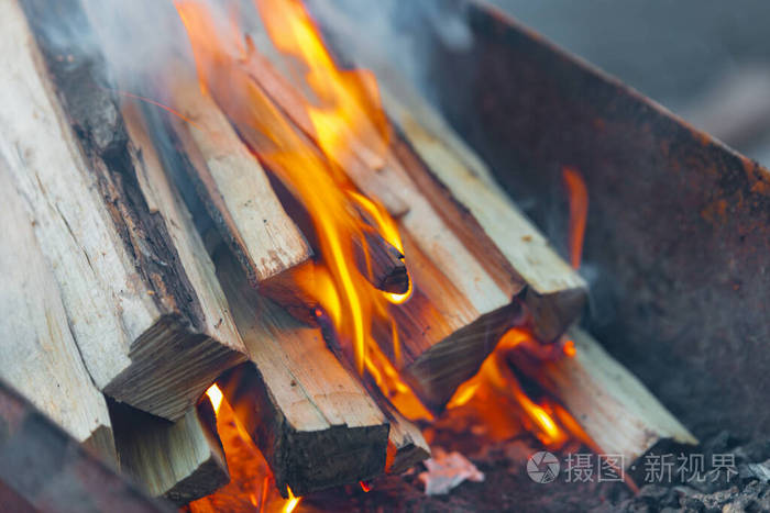 燃烧原木生火火焰和烟雾着火在烤肉架上烤肉