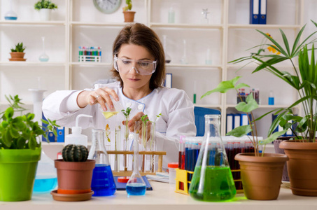 在实验室工作的老女性生物技术化学家