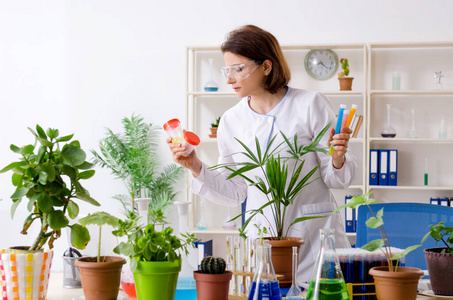 在实验室工作的老女性生物技术化学家