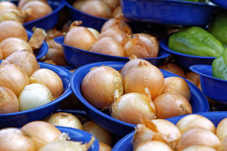 营养 食物 维生素 农民 生产 农事 洋葱 蔬菜 美食家