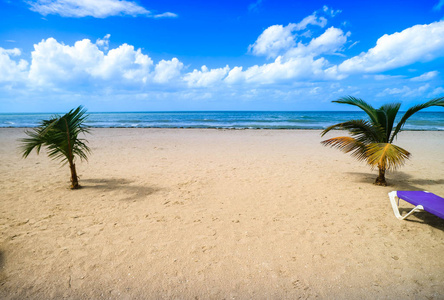 美丽的 海景 自然 椰子 海岸线 泻湖 海洋 夏天 风景