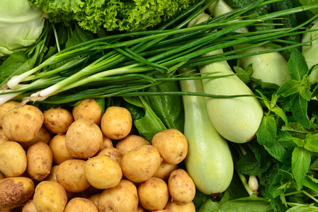 Fresh green vegetables and herbs as a background.  