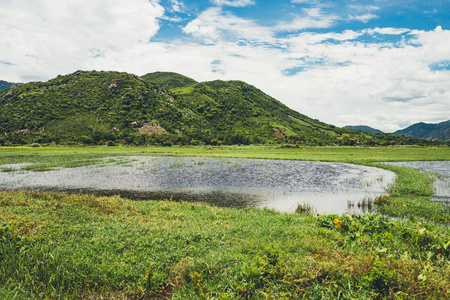 Beautiful green rice fields in mountains in tropical climate in 