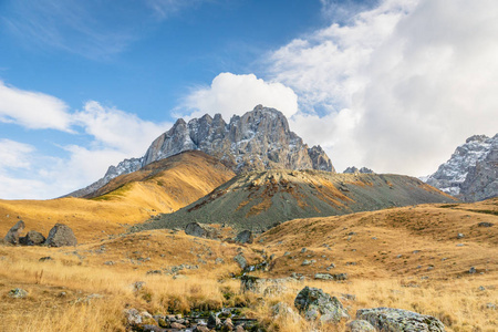 植物区系 仙境 乔基 风景 公园 高加索 阿尔卑斯山 徒步旅行