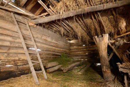 各种各样的事情图片