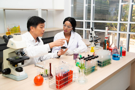 两位科学家正在实验室工作。年轻的女研究员和她的高级主管正在对实验室设备进行调查。