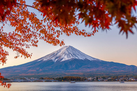 斐济火山景观。