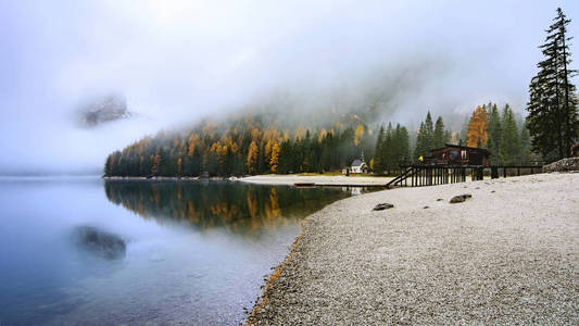 森林 布拉格 旅游业 阿尔卑斯山 白云石 夏天 公园 反射
