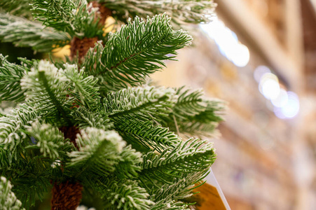 冷杉树叶和圣诞树装饰图片