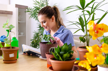 室内种植植物的年轻女园丁