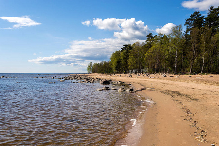 spring landscape on the shore of the Gulf of Finland on a clear 