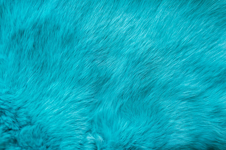 蓝兔皮毛纹理，动物皮肤背景