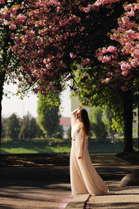 樱花丛中的女孩。春天女孩在花丛中漫步